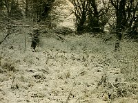 Kusary im Winter
